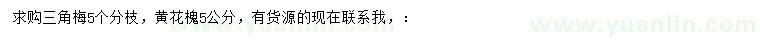 求購(gòu)三角梅、5公分黃花槐