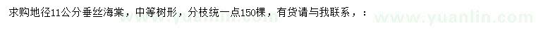 求購地徑11公分垂絲海棠