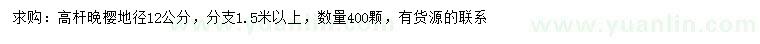 求購地徑12公分高桿晚櫻