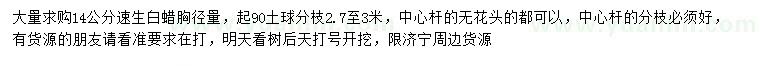 求購胸徑14公分速生白蠟