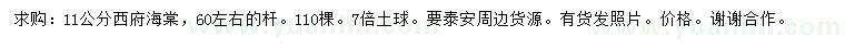 求購11公分西府海棠