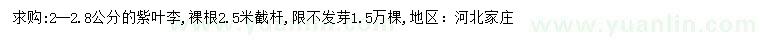 求購2--2.8公分紫葉李