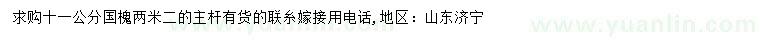 求購11公分國槐