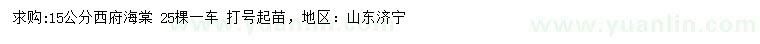 求購15公分西府海棠