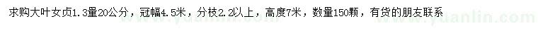 求購1.3米量20公分大葉女貞