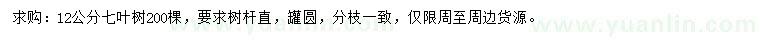 求購12公分七葉樹