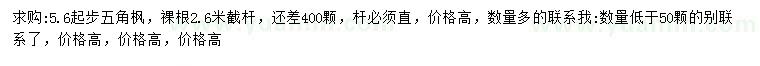 求購5.6公分起步五角楓