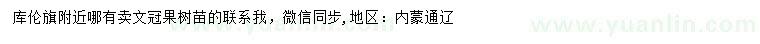 求購文冠果樹苗