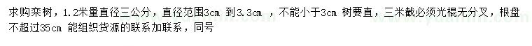 求購1.2米量直徑3公分欒樹