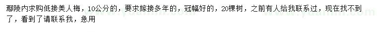 求購10公分美人梅