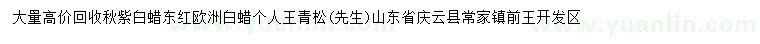 求購(gòu)秋紫白蠟、東紅歐洲白蠟