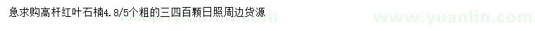 求購紅葉石楠