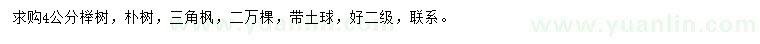 求購(gòu)櫸樹(shù)、樸樹(shù)、三角楓
