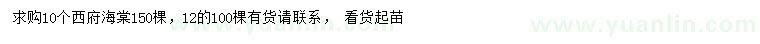 求購10、12公分西府海棠