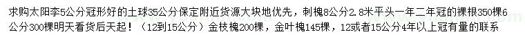 求購太陽李、刺槐、金枝槐等