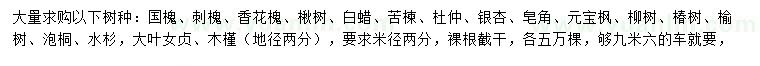 求購(gòu)國(guó)槐、刺槐、香花槐等