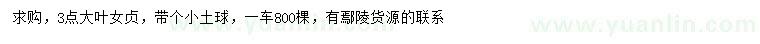 求購3公分大葉女貞