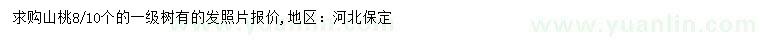 求購8-10公分山桃