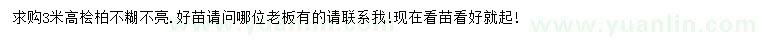 求購(gòu)高3米檜柏
