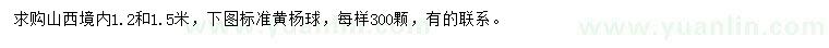 求購1.2、1.5米黃楊球