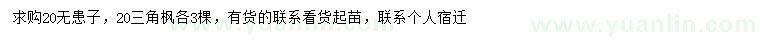 求購20公分無患子、三角楓