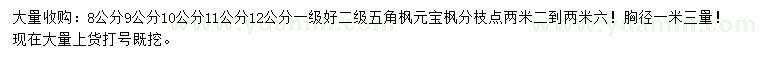 求購胸徑8、9、10、11、12公分五角楓、元寶楓