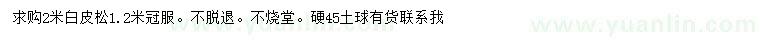 求購(gòu)2米白皮松