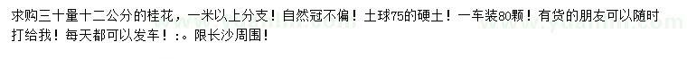 求購30公分量12公分桂花