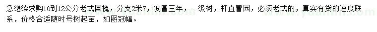 求購10-12公分老國槐