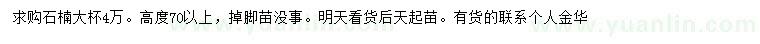 求購高70公分以上石楠