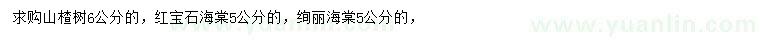 求購山楂樹、紅寶石海棠、絢麗海棠