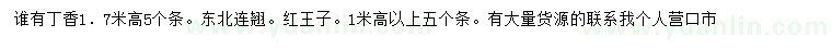 求購丁香、東北連翹、紅王子錦帶