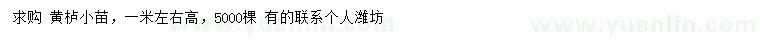 求購(gòu)高1米左右黃櫨小苗
