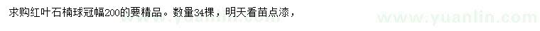 求購冠幅2米紅葉石楠球