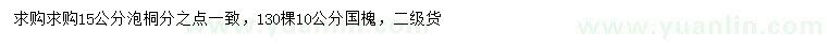 求購15公分泡桐、10公分國(guó)槐