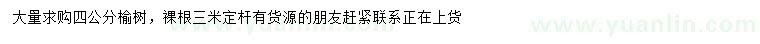 求購4公分榆樹