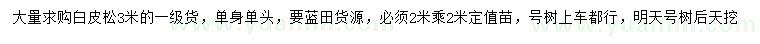 求購(gòu)3米白皮松