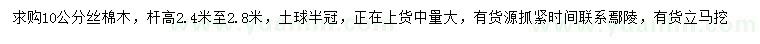 求購10公分絲棉木