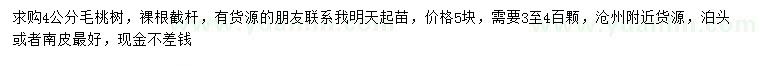 求購(gòu)4公分毛桃樹(shù)