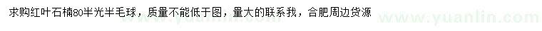 求購紅葉石楠
