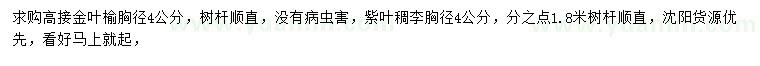 求購胸徑4公分金葉榆、紫葉稠