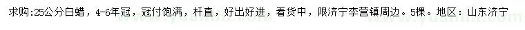 求購25公分白蠟