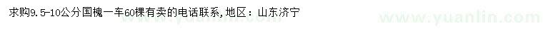 求購9.5-10公分國槐