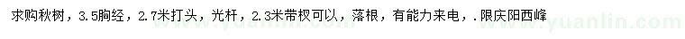 求購胸徑3.5公分楸樹