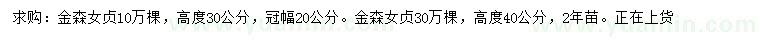 求購高30、40公分金森女貞