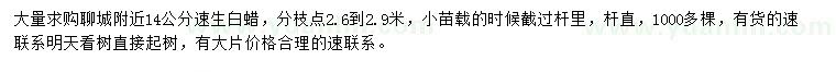 求購14公分速生白蠟