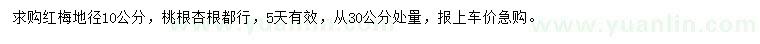 求購地徑10公分紅梅
