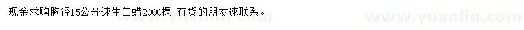 求購胸徑15公分速生白蠟