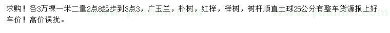求購廣玉蘭、樸樹、紅櫸等