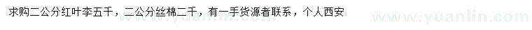 求購(gòu)2公分紅葉李、絲棉木